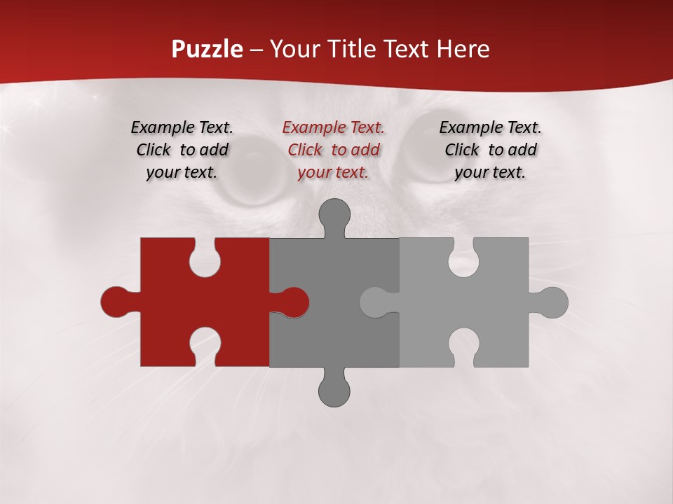 Hat Kitten Cat PowerPoint Template