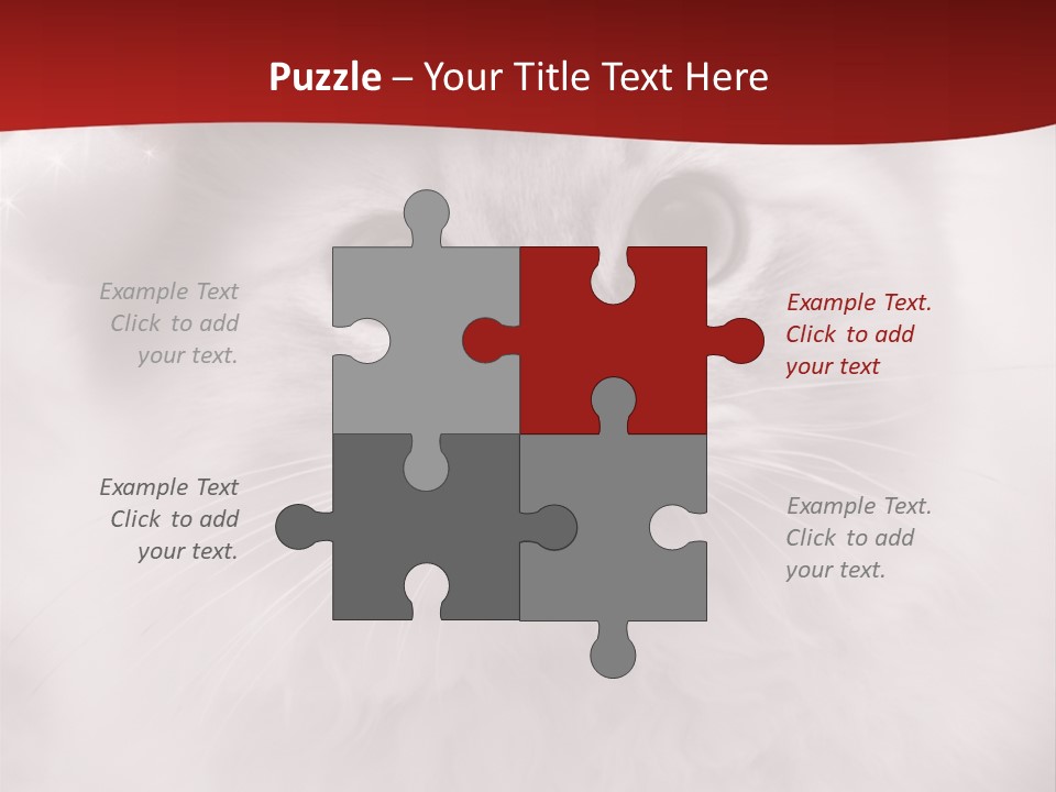 Hat Kitten Cat PowerPoint Template