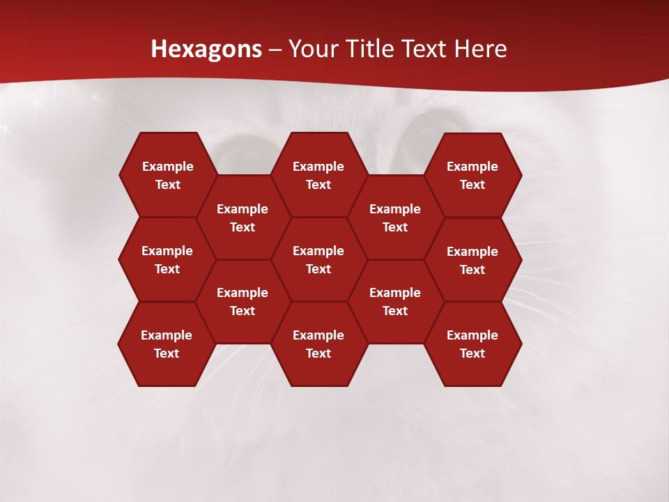 Hat Kitten Cat PowerPoint Template