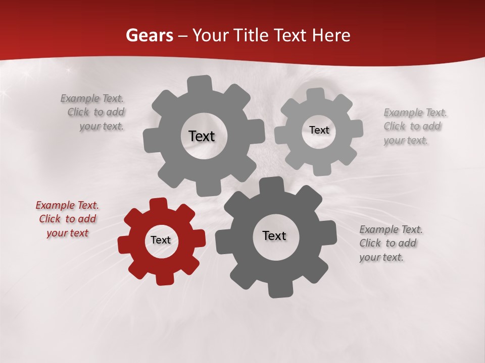 Hat Kitten Cat PowerPoint Template