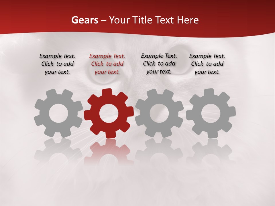 Hat Kitten Cat PowerPoint Template