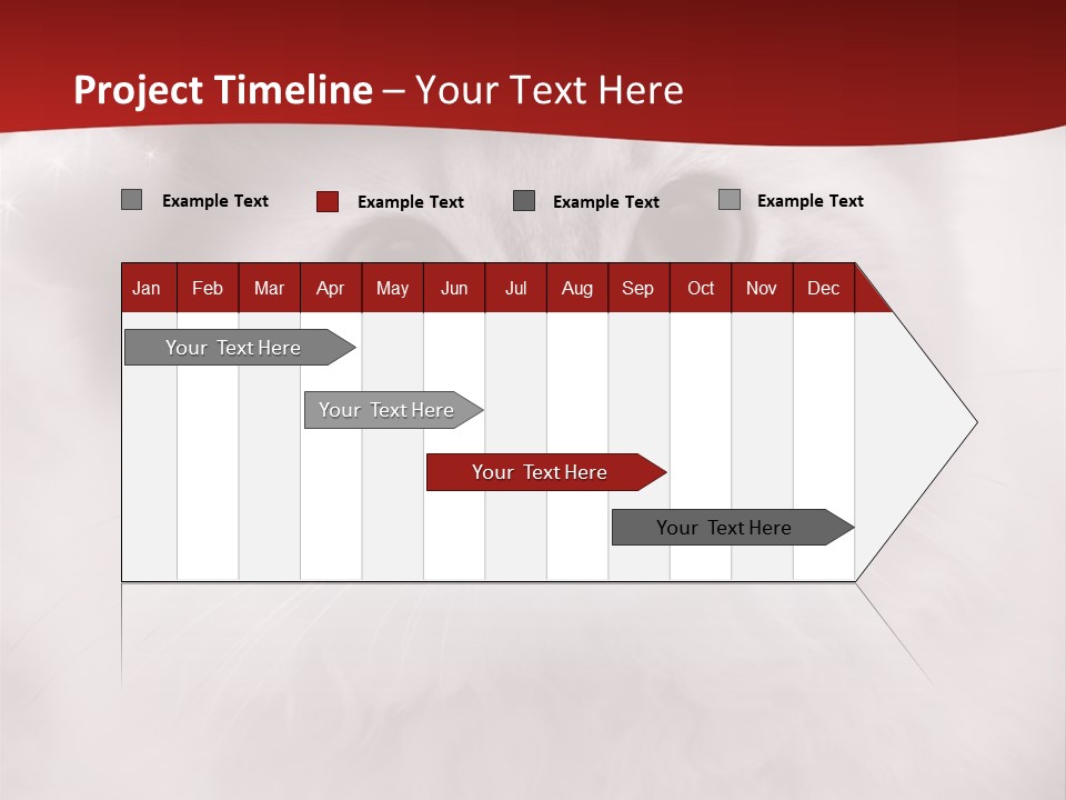 Hat Kitten Cat PowerPoint Template