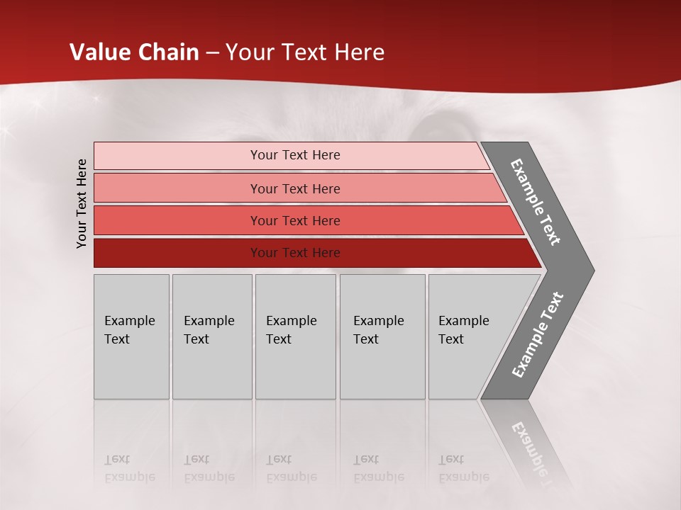 Hat Kitten Cat PowerPoint Template