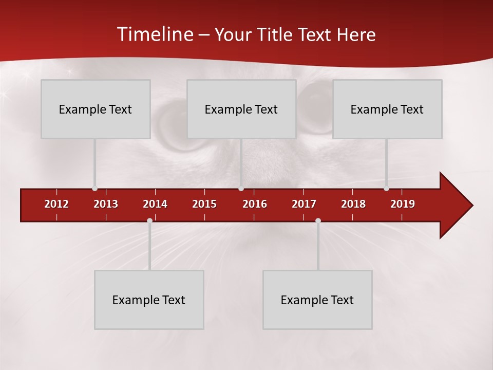 Hat Kitten Cat PowerPoint Template