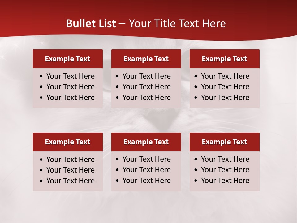 Hat Kitten Cat PowerPoint Template