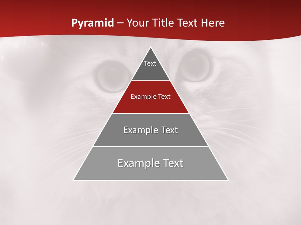 Hat Kitten Cat PowerPoint Template