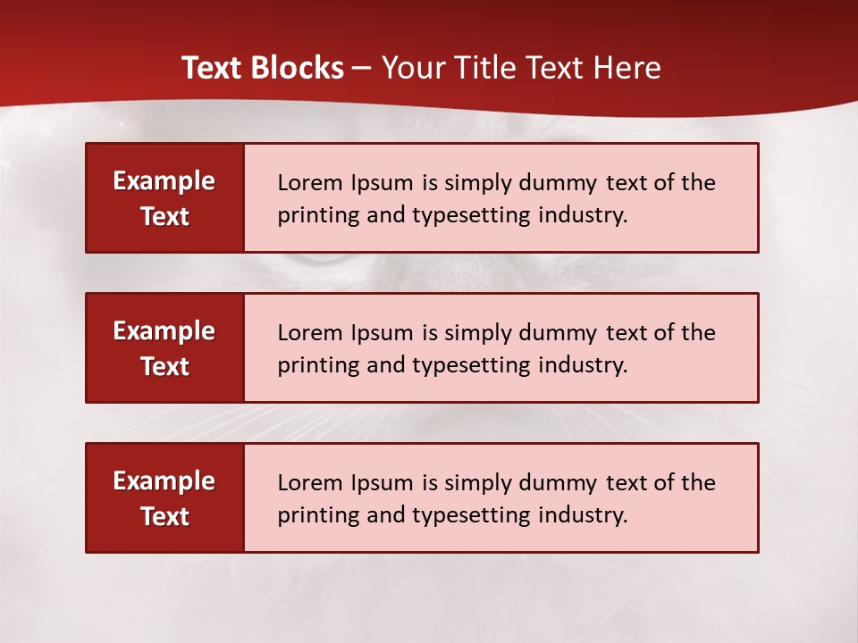 Hat Kitten Cat PowerPoint Template