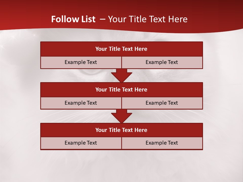 Hat Kitten Cat PowerPoint Template