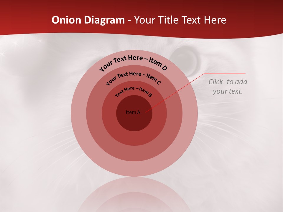 Hat Kitten Cat PowerPoint Template