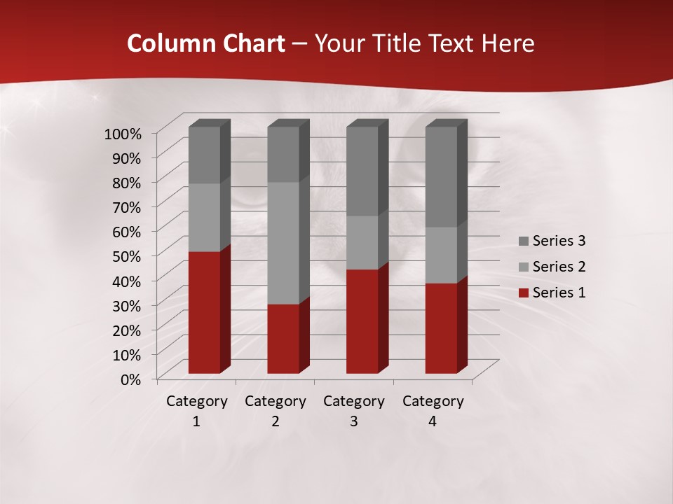 Hat Kitten Cat PowerPoint Template