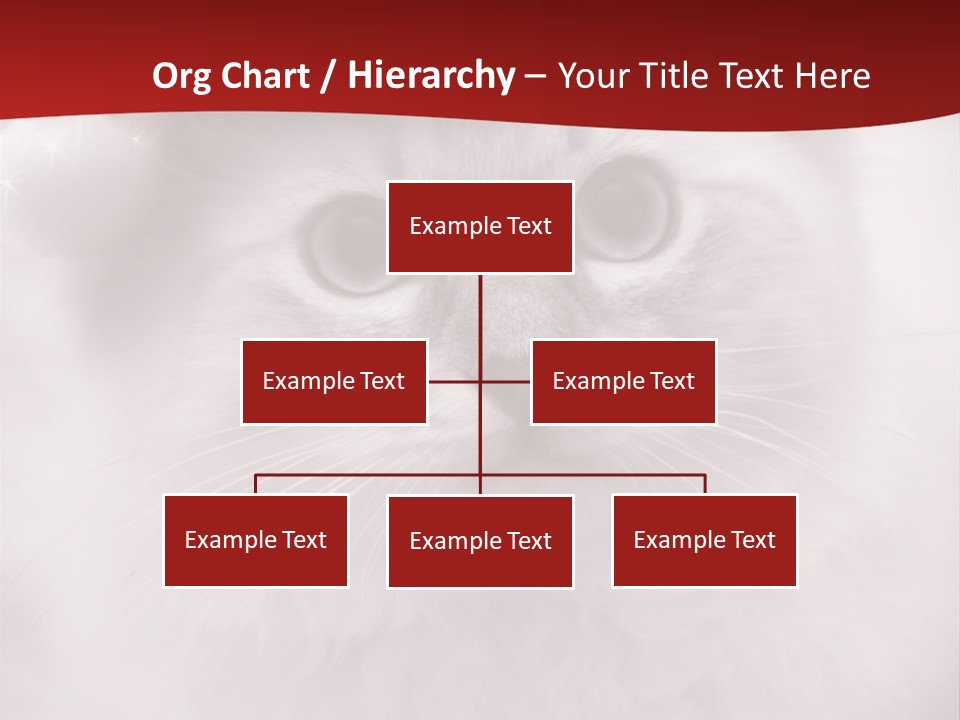 Hat Kitten Cat PowerPoint Template