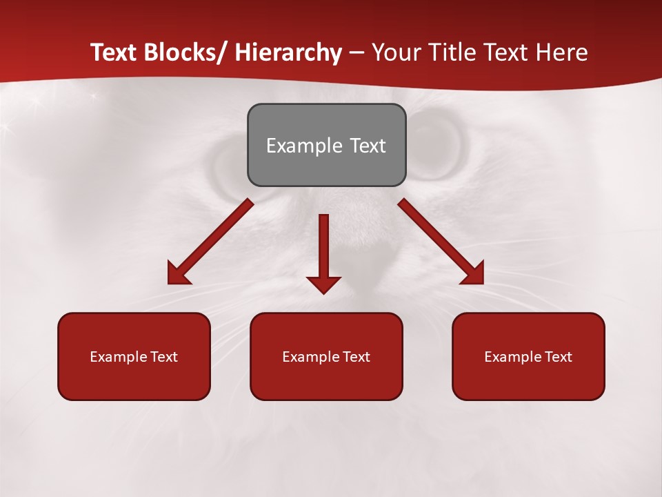 Hat Kitten Cat PowerPoint Template