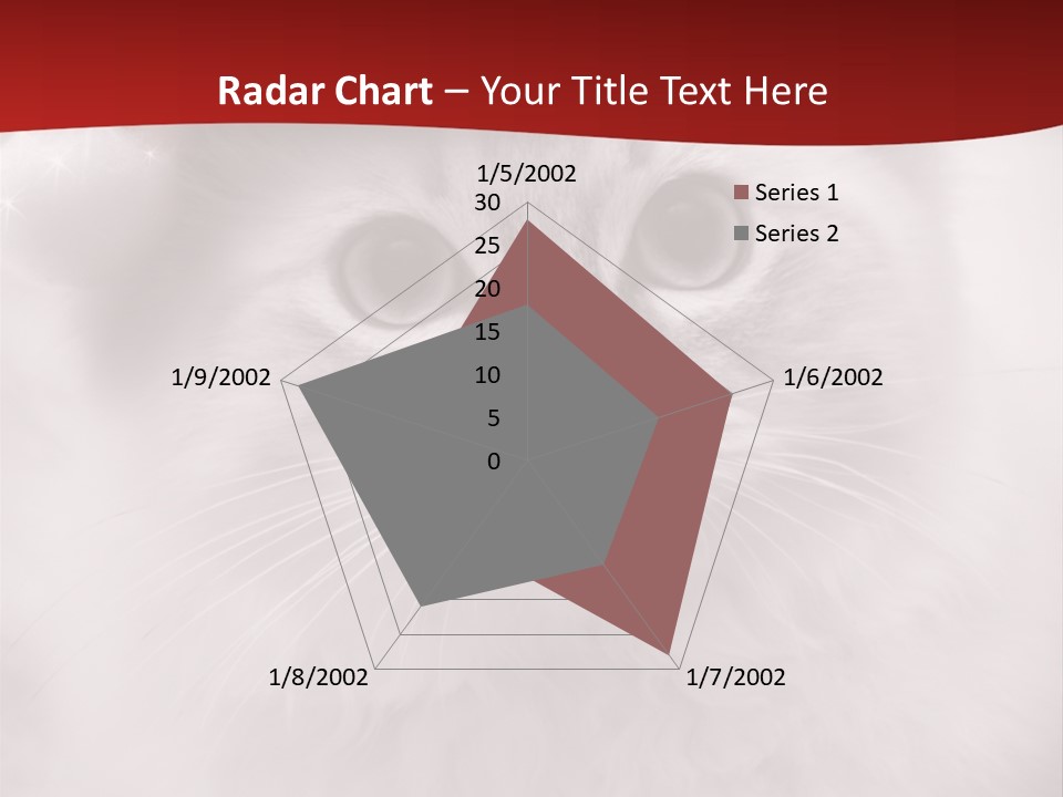 Hat Kitten Cat PowerPoint Template