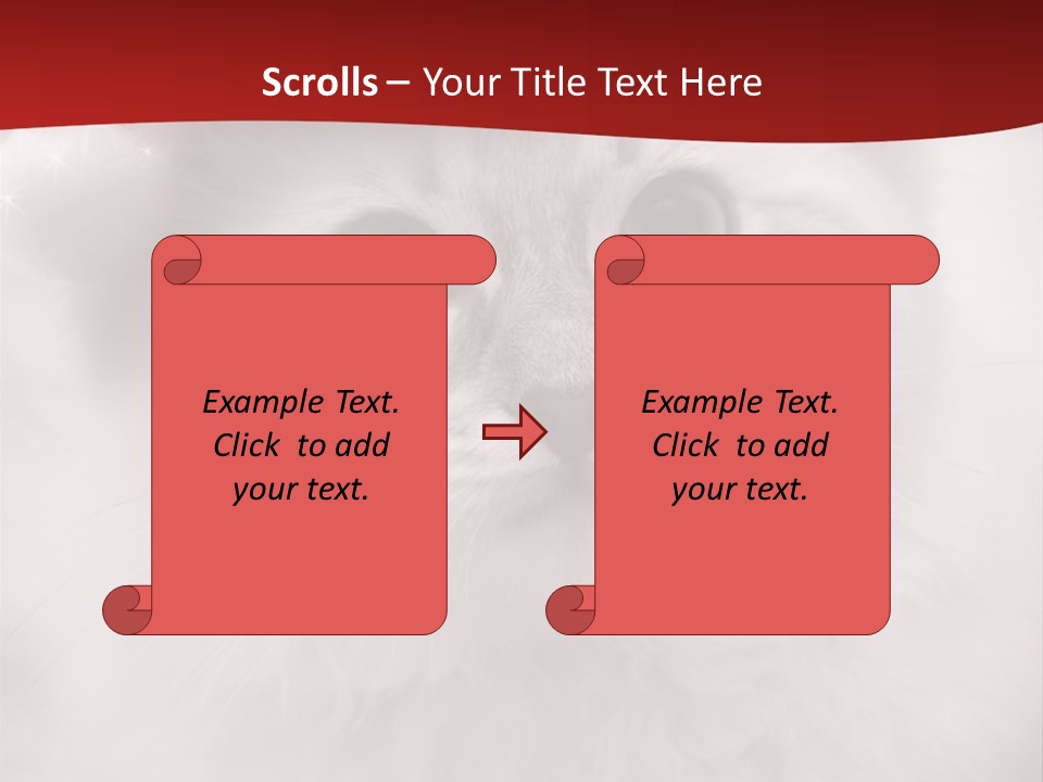 Hat Kitten Cat PowerPoint Template