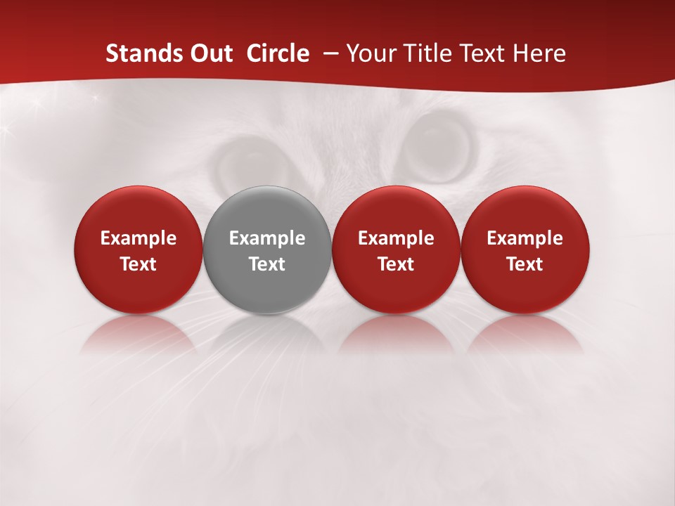 Hat Kitten Cat PowerPoint Template