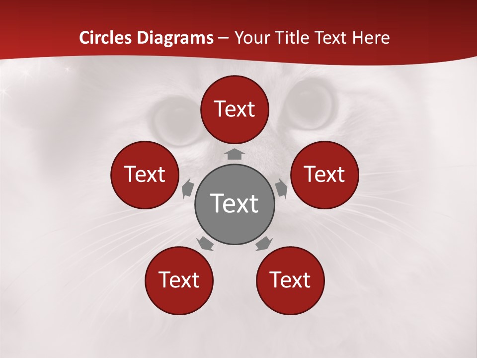 Hat Kitten Cat PowerPoint Template