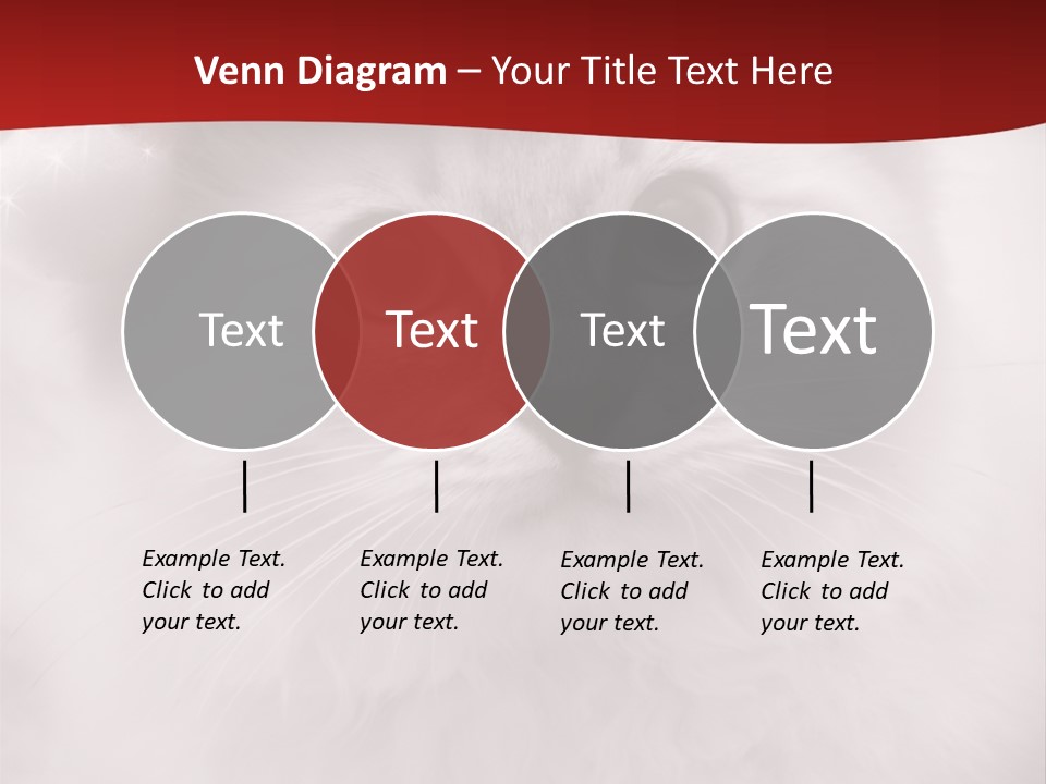 Hat Kitten Cat PowerPoint Template