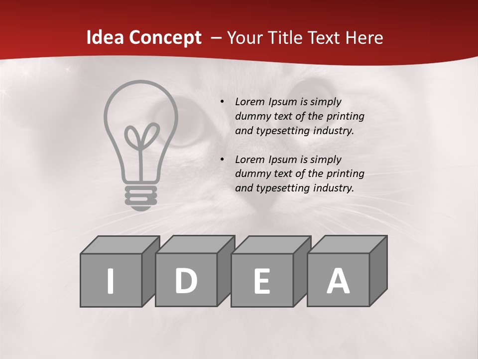 Hat Kitten Cat PowerPoint Template