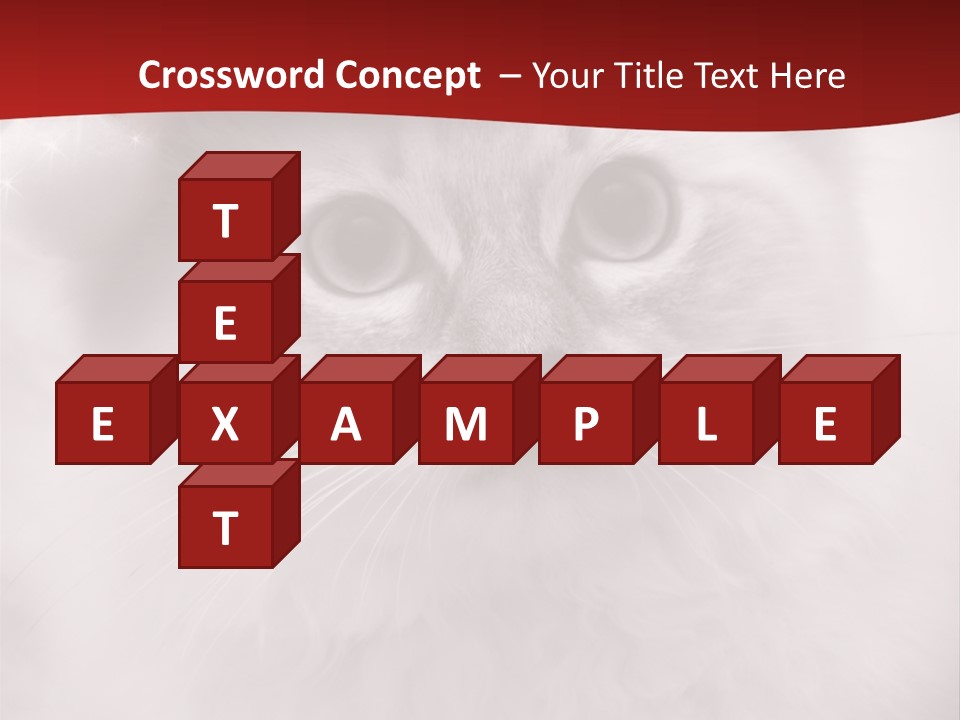 Hat Kitten Cat PowerPoint Template