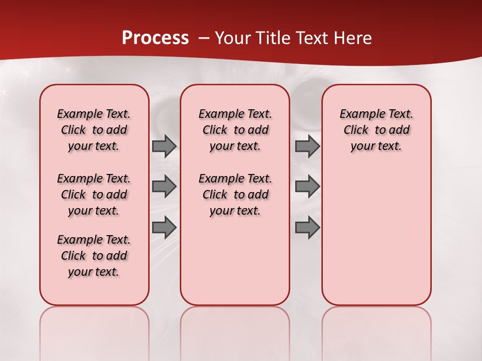 Hat Kitten Cat PowerPoint Template
