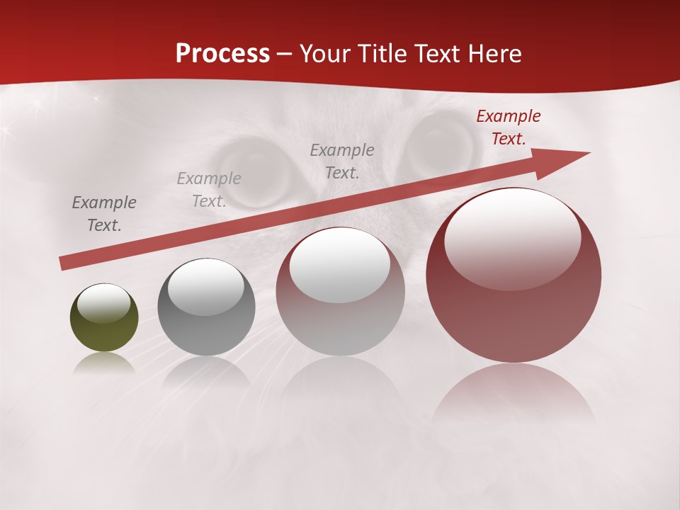 Hat Kitten Cat PowerPoint Template