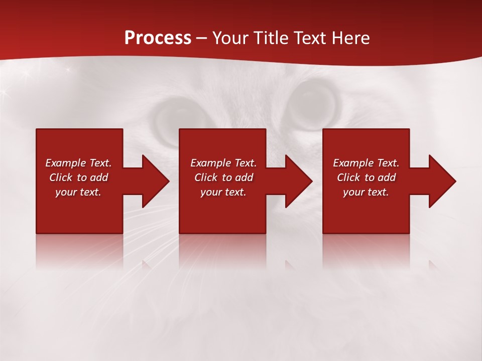 Hat Kitten Cat PowerPoint Template