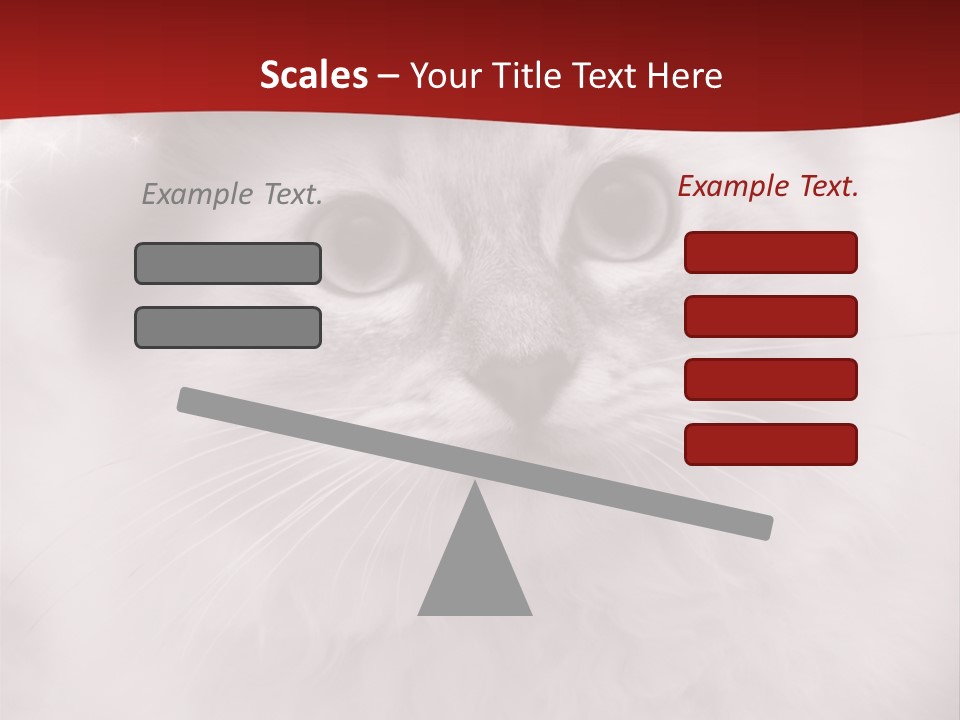 Hat Kitten Cat PowerPoint Template