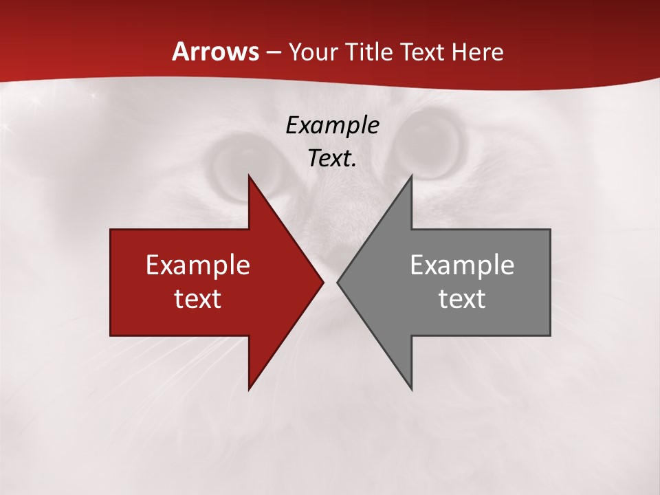 Hat Kitten Cat PowerPoint Template