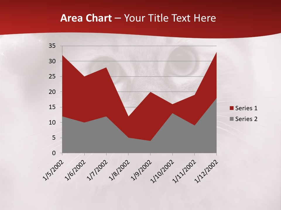 Hat Kitten Cat PowerPoint Template