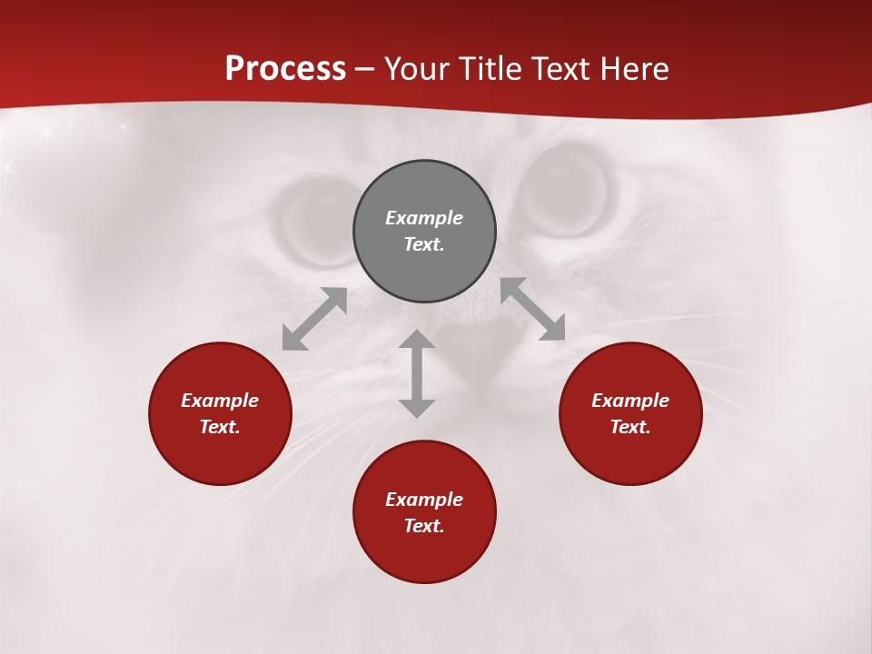 Hat Kitten Cat PowerPoint Template