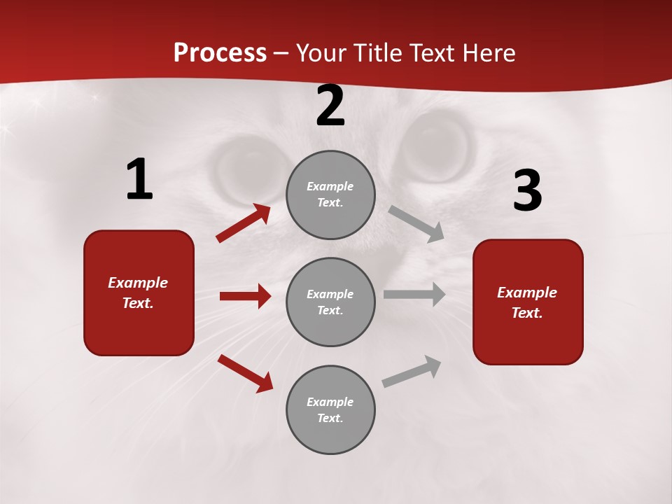 Hat Kitten Cat PowerPoint Template