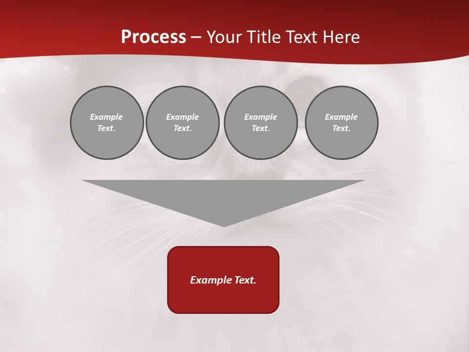 Hat Kitten Cat PowerPoint Template