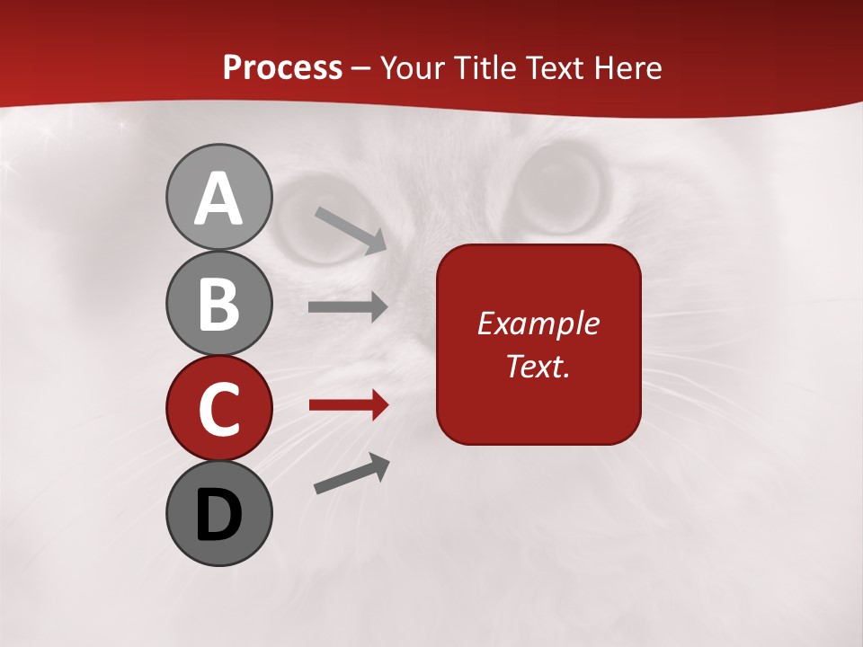 Hat Kitten Cat PowerPoint Template