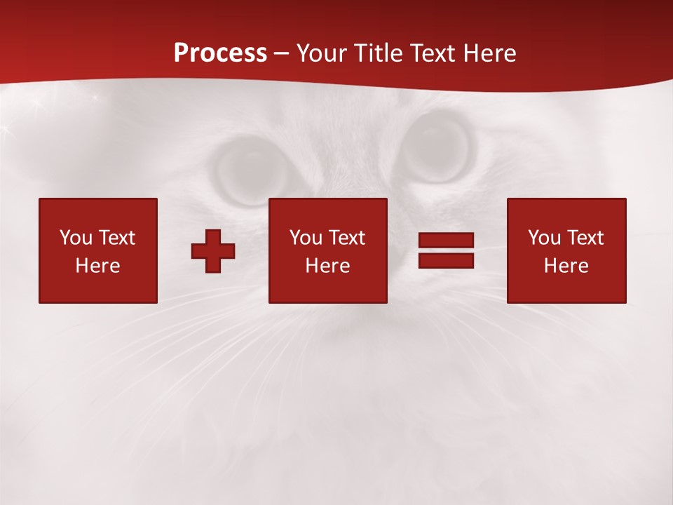 Hat Kitten Cat PowerPoint Template