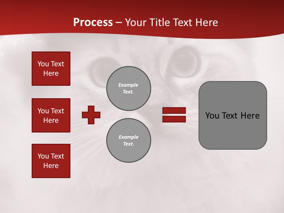 Hat Kitten Cat PowerPoint Template