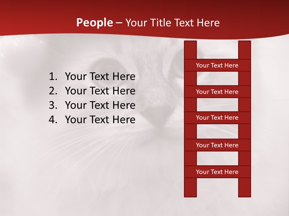 Hat Kitten Cat PowerPoint Template