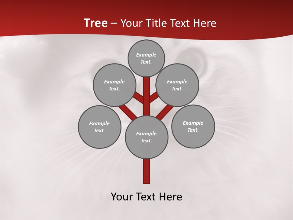 Hat Kitten Cat PowerPoint Template