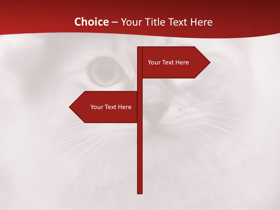 Hat Kitten Cat PowerPoint Template