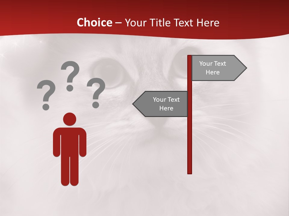 Hat Kitten Cat PowerPoint Template