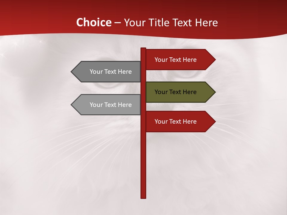 Hat Kitten Cat PowerPoint Template