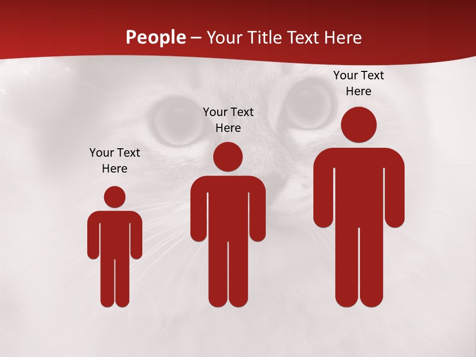 Hat Kitten Cat PowerPoint Template