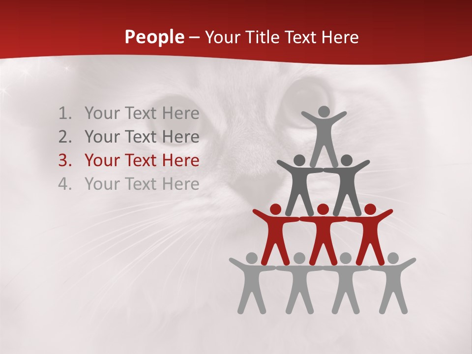 Hat Kitten Cat PowerPoint Template