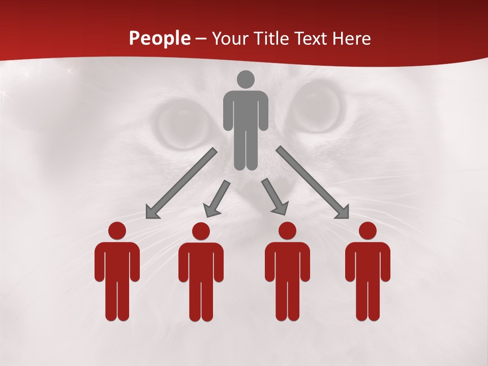 Hat Kitten Cat PowerPoint Template