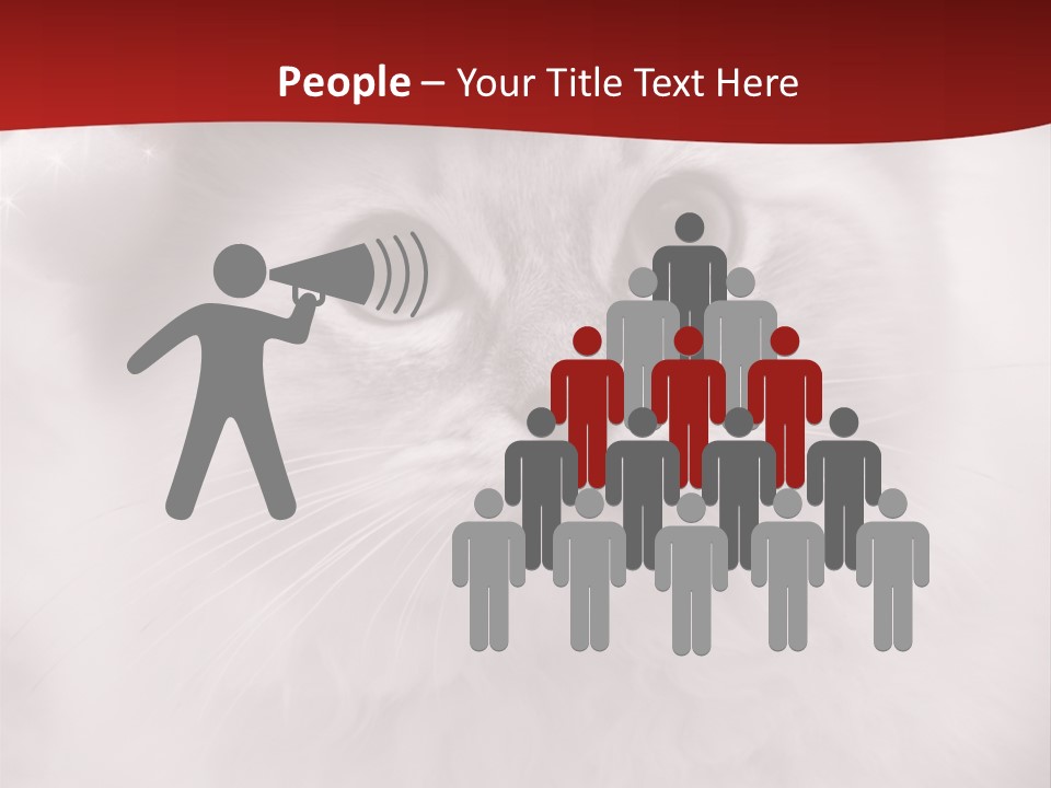 Hat Kitten Cat PowerPoint Template