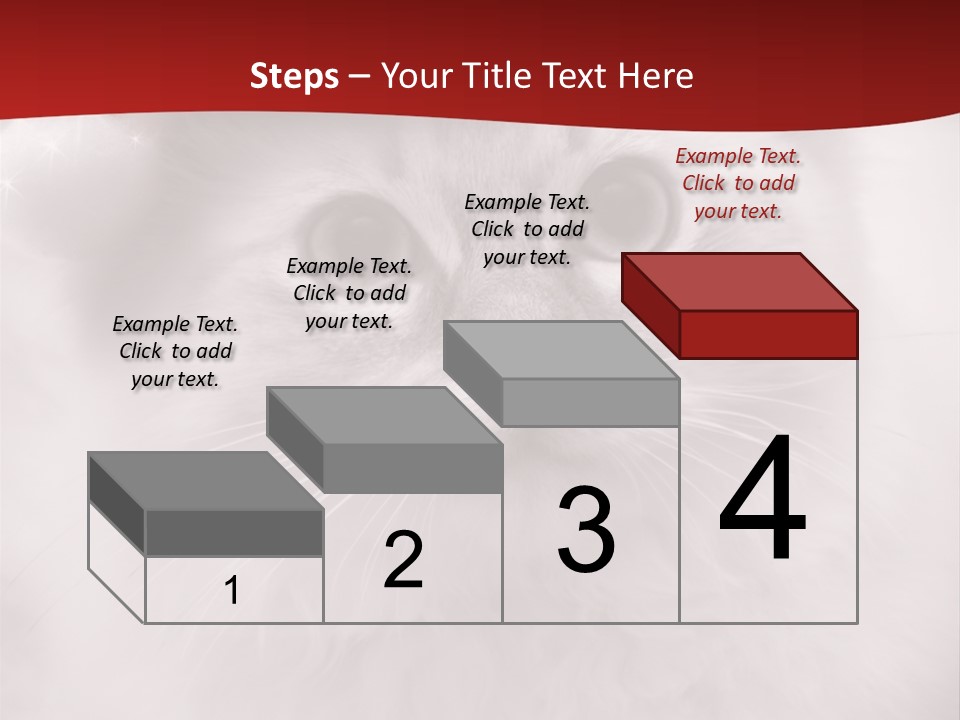 Hat Kitten Cat PowerPoint Template