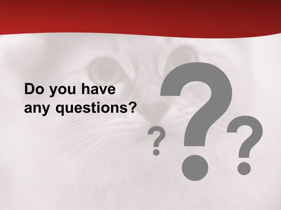 Hat Kitten Cat PowerPoint Template