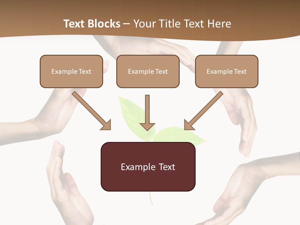 Agriculture Life Concept PowerPoint Template