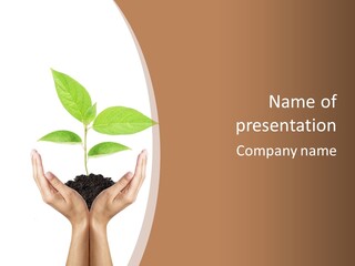 Stem Responsibility Growth PowerPoint Template