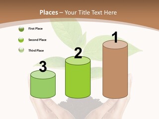 Stem Responsibility Growth PowerPoint Template
