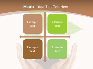 Stem Responsibility Growth PowerPoint Template